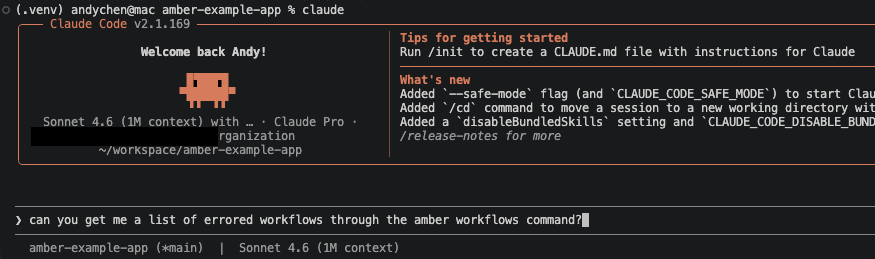 Amber CLI command output in a terminal.