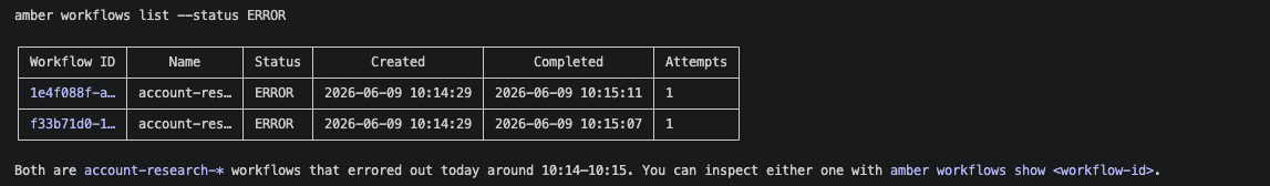 CLI workflow inspection output showing workflow details.